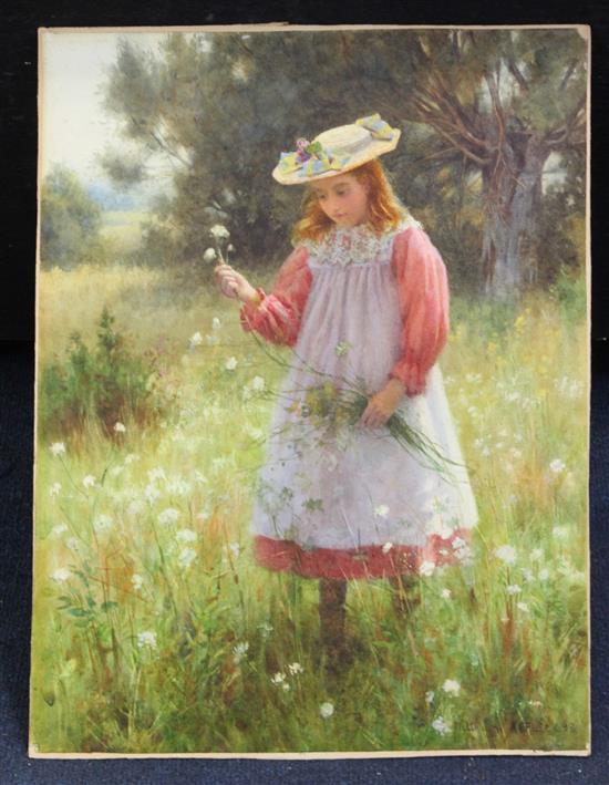 William Affleck (1869-1909) Girl picking wild flowers 16 x 12.5in., unframed